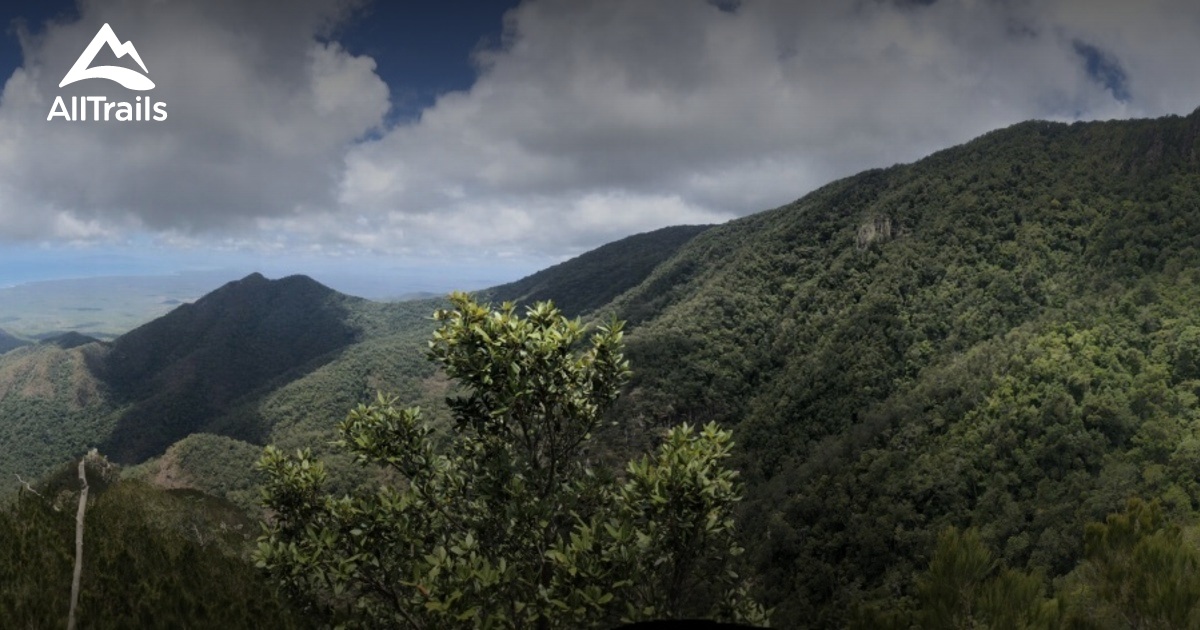 10 Best walking trails in Paluma Range National Park | AllTrails