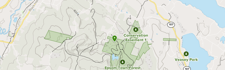 Best Hikes and Trails in Epsom Town Forest | AllTrails