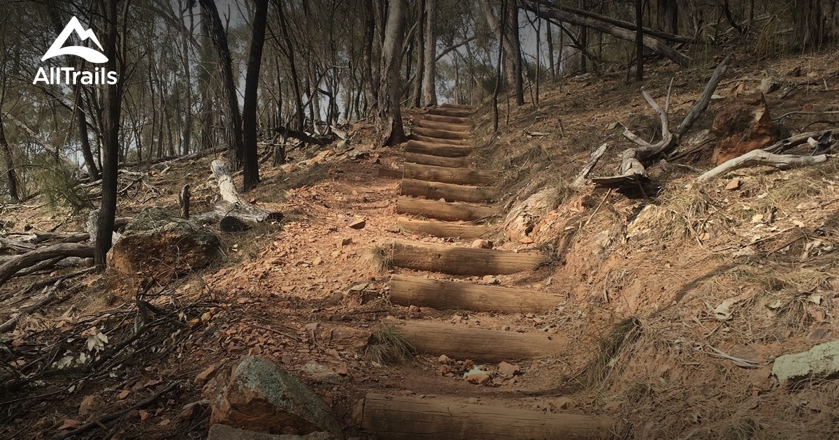 Best hikes and trails in The Rock Nature Reserve | AllTrails