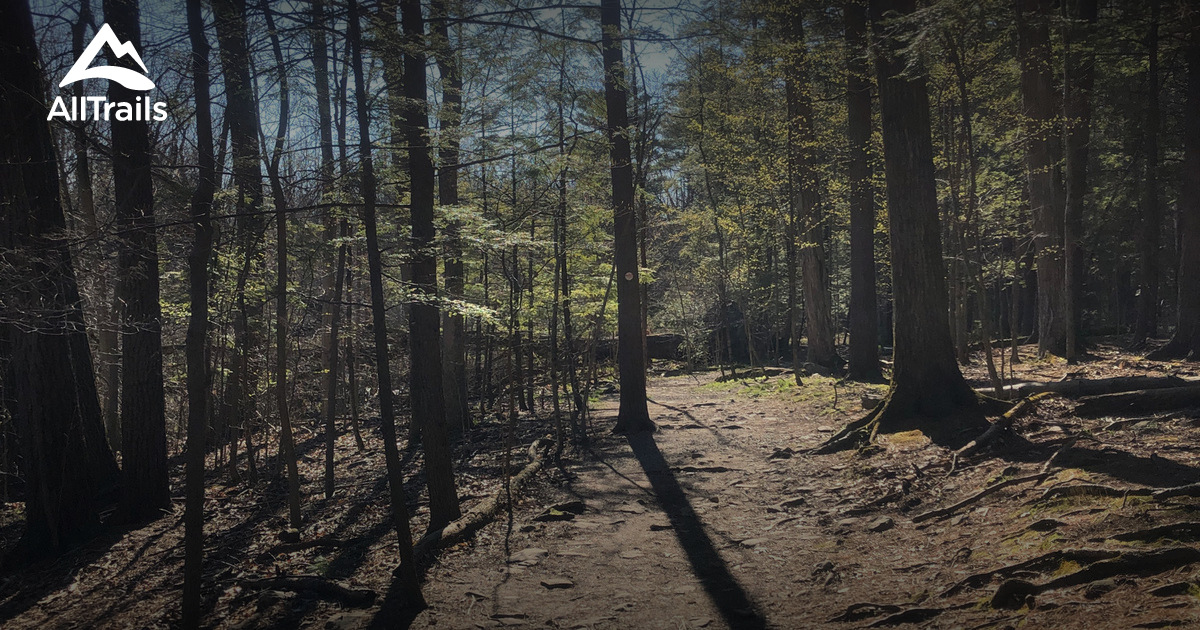 Best hikes and trails in The Comeau Property AllTrails