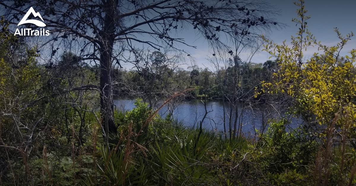 Best Trails in Camp Bayou Nature Preserve - Florida | AllTrails