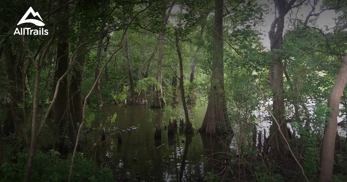 Best Trails in LeFleur's Bluff State Park - Mississippi | AllTrails