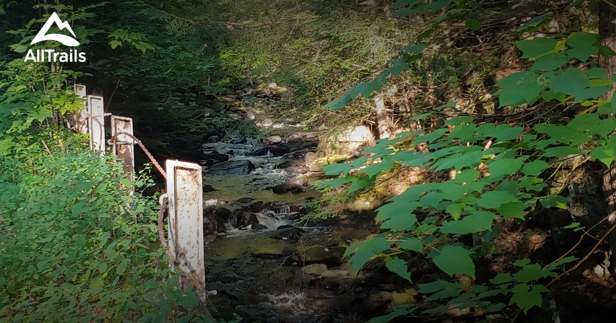 Best hikes and trails in Beaver Brook Preserve AllTrails