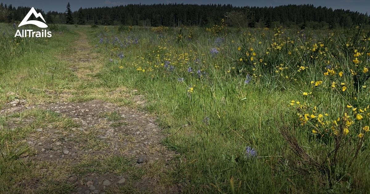 Best Trails In Scatter Creek Wildlife Area Washington AllTrails Best Trails In Scatter Creek Wildlife Area Washington AllTrails