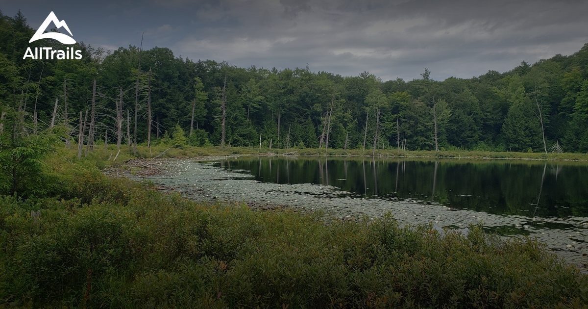 Bedste vandreture og ruter i Half Moon Pond State Park | AllTrails