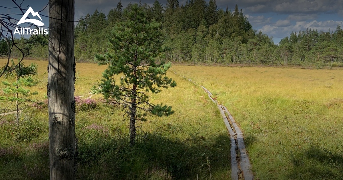 Best hikes and trails in Kurjenrahka National Park | AllTrails