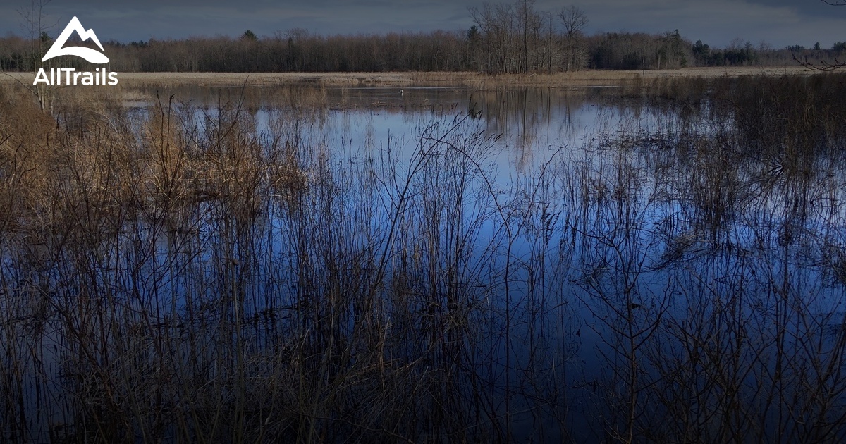 Best Trails in Three Rivers Wildlife Management Area - New York | AllTrails