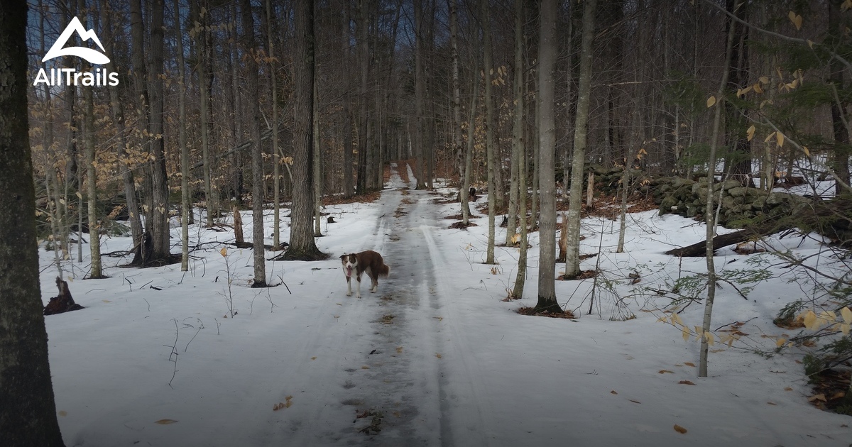 Best hikes and trails in Acworth Town Forest AllTrails