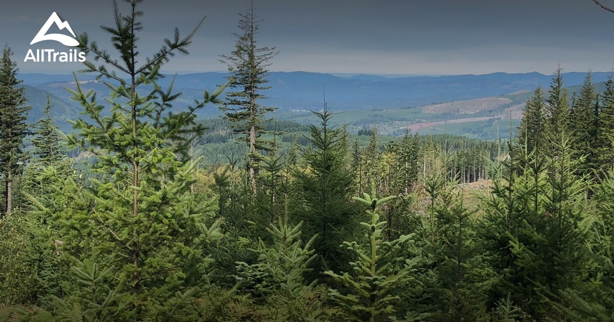 Best off road driving trails in - Parks Us Washington Yacolt Burn State Forest 10176075 20201214080550000000000 1200x630 3 41607943635 