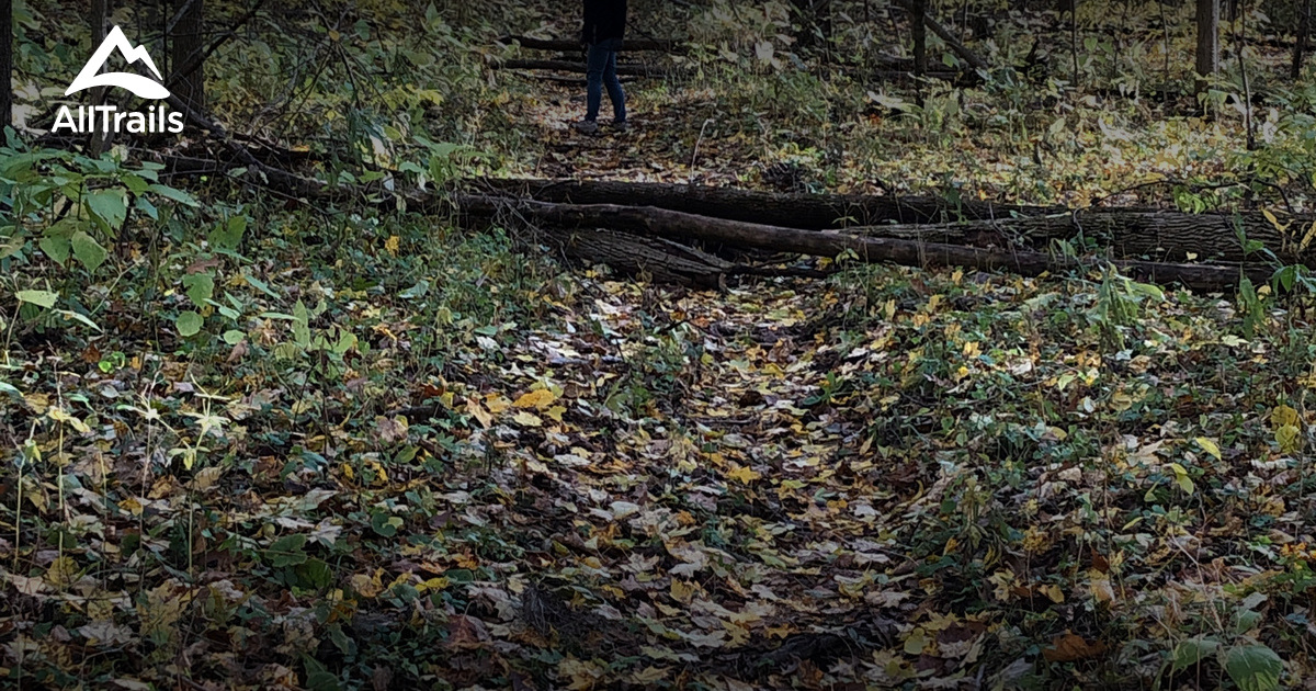 Best hikes and trails in Seven Pillars Nature Preserve AllTrails