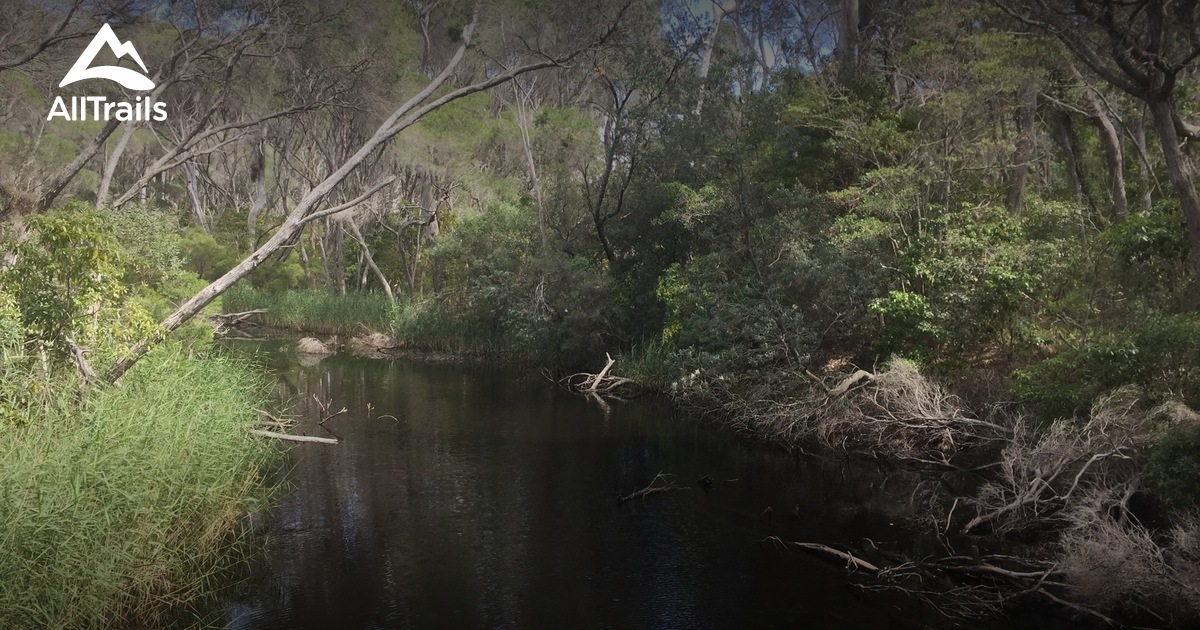 Nullica Rocks Best hikes and trails in Nullica State Forest | AllTrails