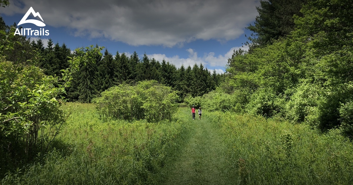 Best hikes and trails in Roy H. Park Nature Preserve | AllTrails