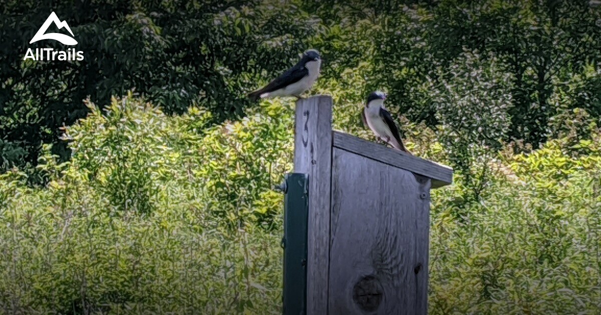 Best Hikes and Trails in Killbuck Lakes AllTrails