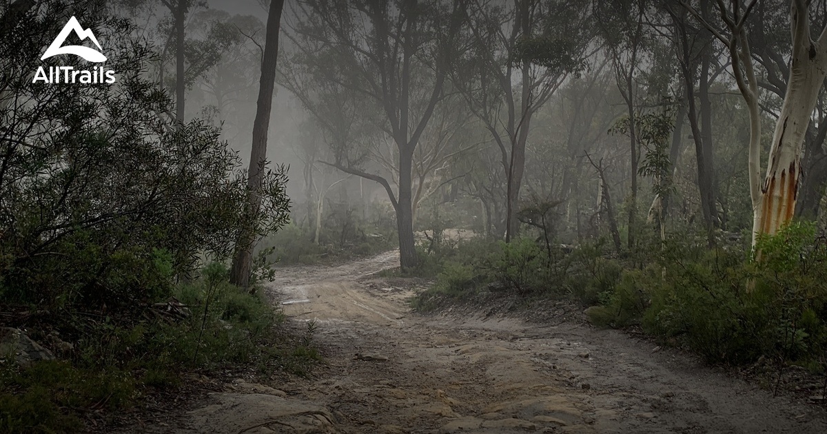 Best hikes and trails in Belanglo State Forest AllTrails