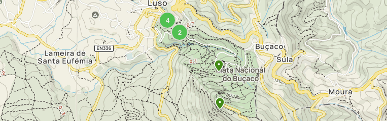 Varken Zijn bekend Kapper Best Hikes and Trails in Mata Nacional do Buçaco | AllTrails