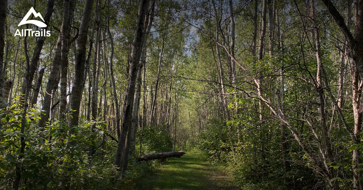 Best trails in North Cooking Lake Natural Area, Alberta, Canada | AllTrails