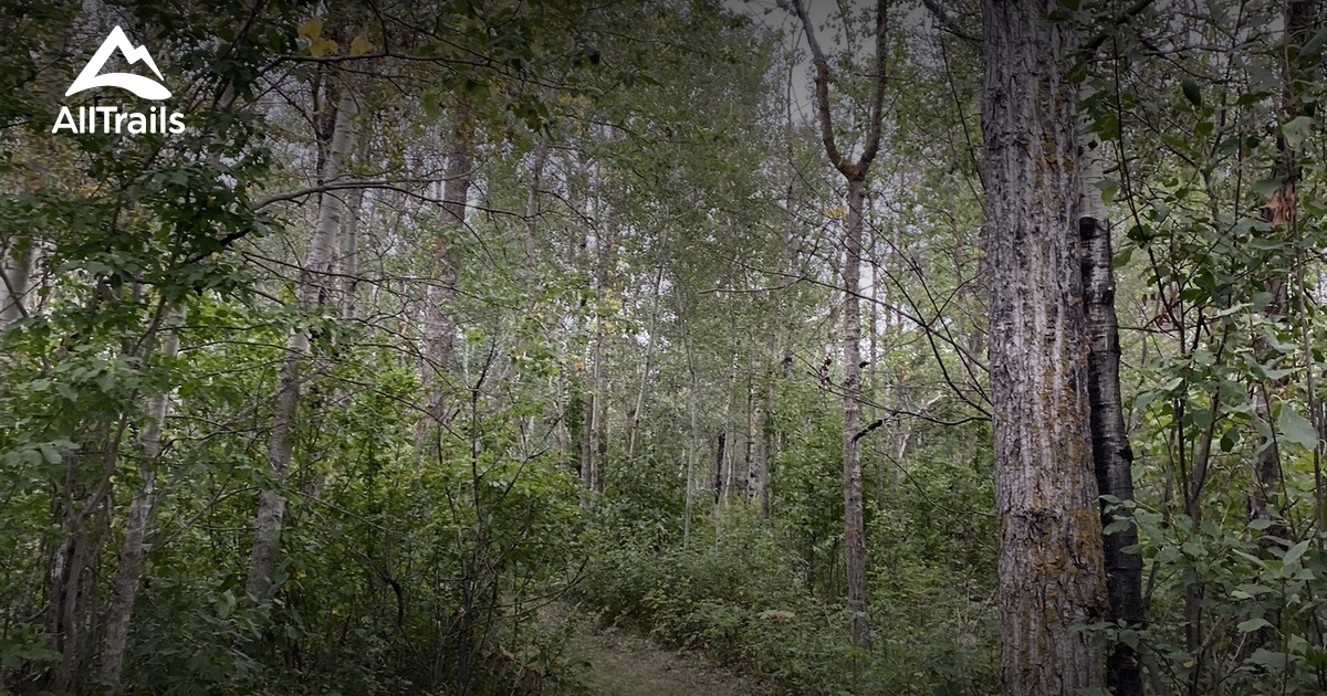 Best hikes and trails in North Cooking Lake Natural Area AllTrails