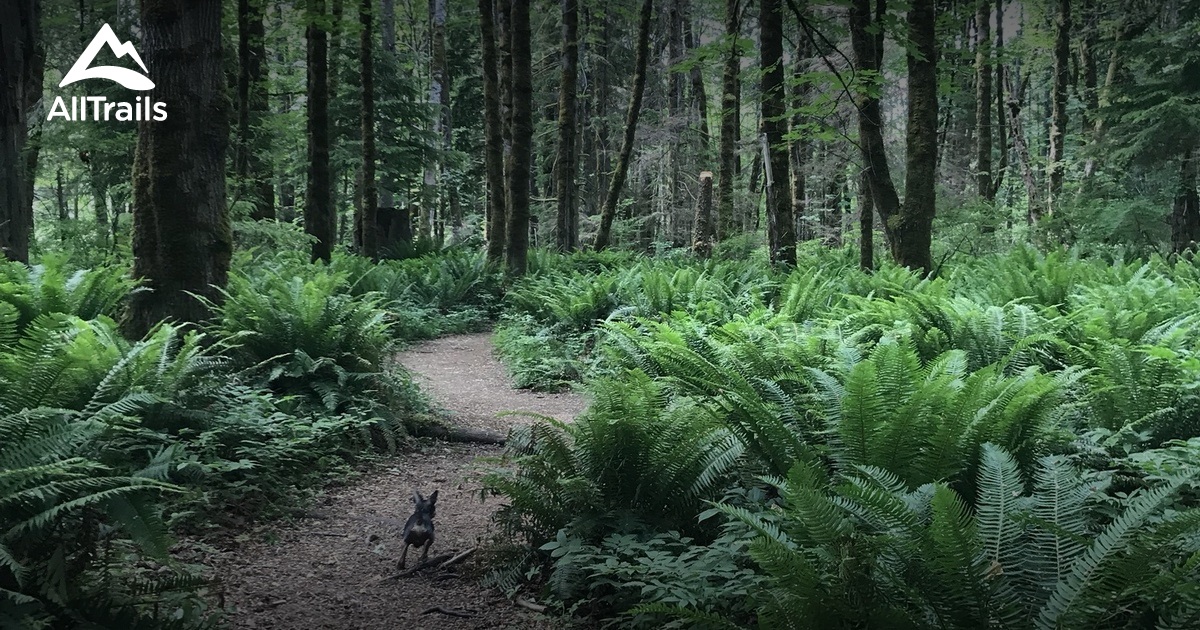 Roy Stewart Morrison Nature Park