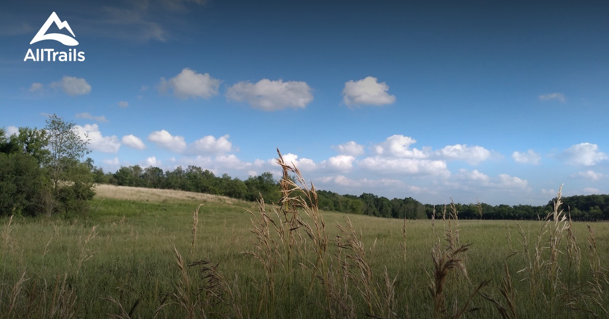 Best hikes and trails in Spring Lake Preserve AllTrails