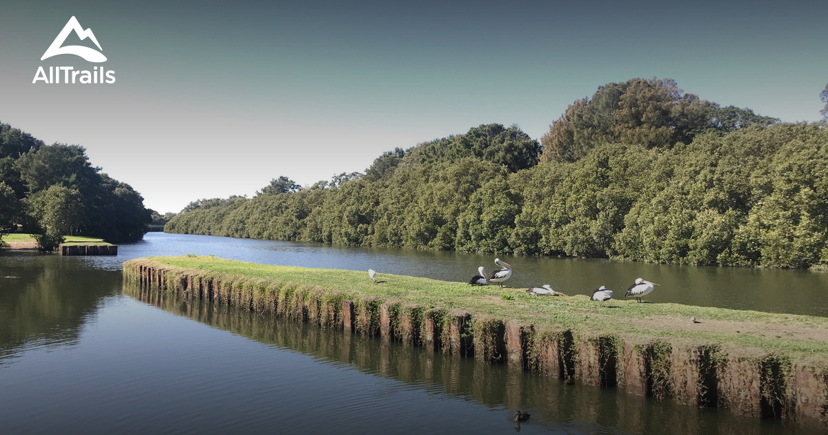 Best Hikes and Trails in Croydon Park AllTrails