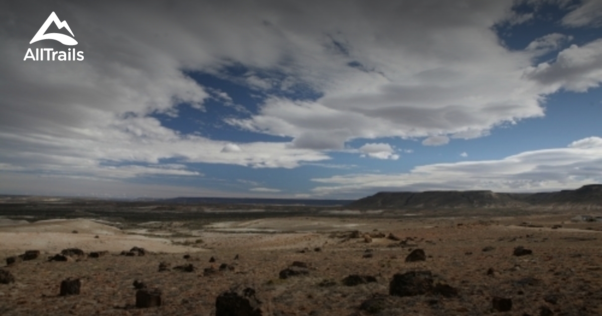 Best hikes and trails in Jaramillo Petrified Forests National Park ...