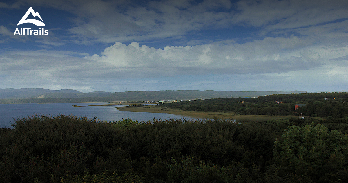 Best camping trails in Chilo National - Parks Chile Los Lagos Parque Nacional Chiloe 10179942 20210209080535000000000 1200x630 3 41612977946 