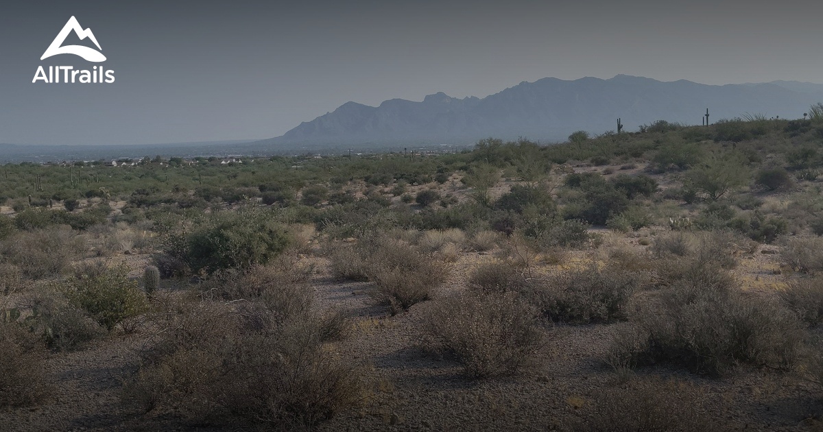 Best Hikes and Trails in Greasewood Park | AllTrails