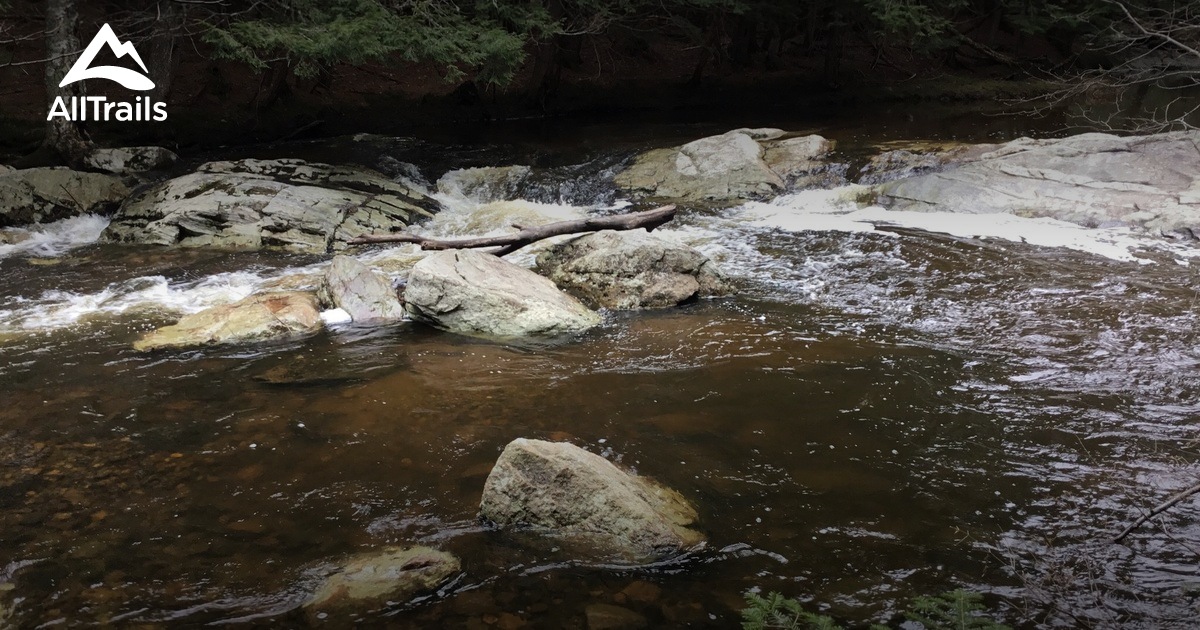 Best hikes and trails in Trout Brook Preserve | AllTrails