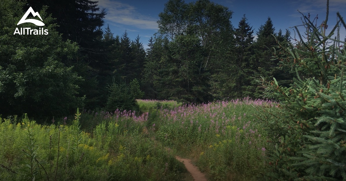 Best kid-friendly trails in Bonshaw Provincial Park | AllTrails