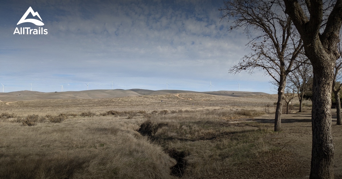 Altamont Creek Park de beste routes om te wandelen AllTrails