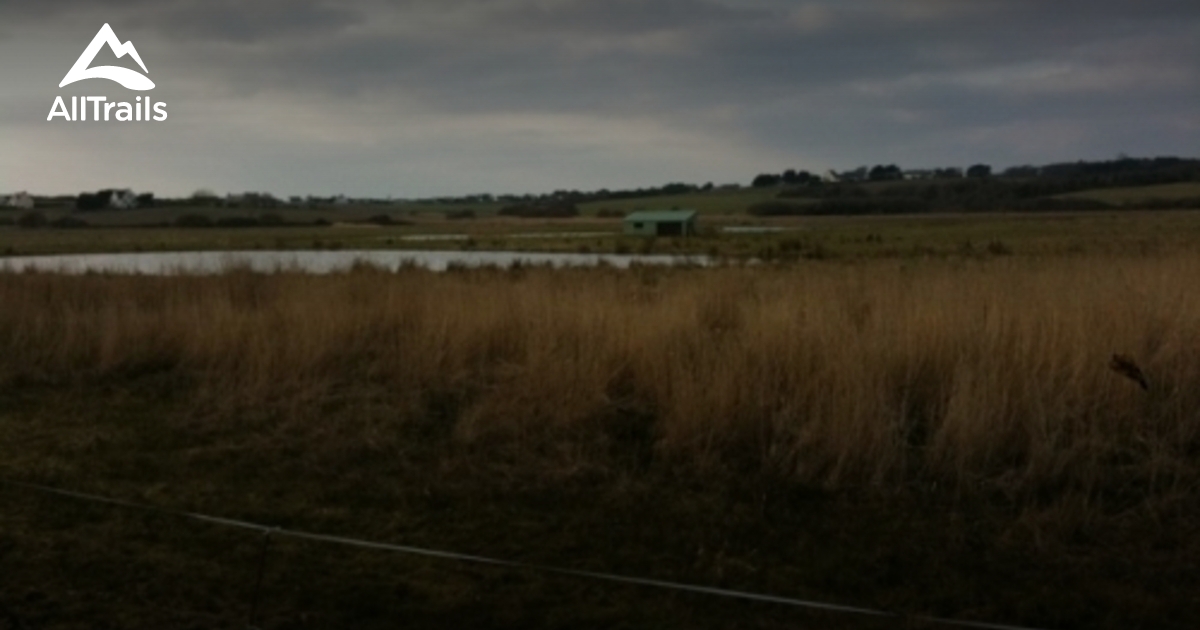 Los mejores senderos con r o en - Parks France Morbihan La Reserve Naturelle Des Etangs Du Petit Et Du Grand Loch 10182448 20210219011703000000000 1200x630 3 41613697442