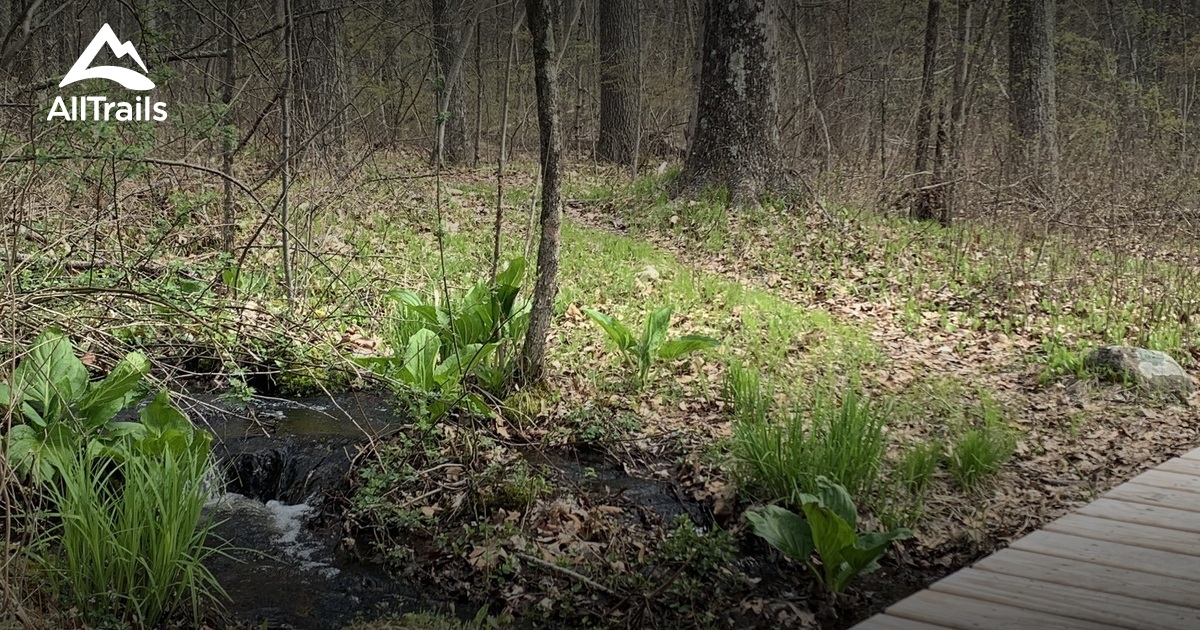 Best hikes and trails in Blackall Family Preserve AllTrails