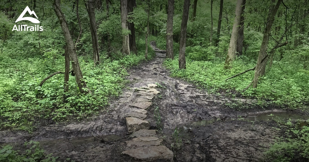 Best Hikes and Trails in Lick Creek Wildlife Preserve | AllTrails