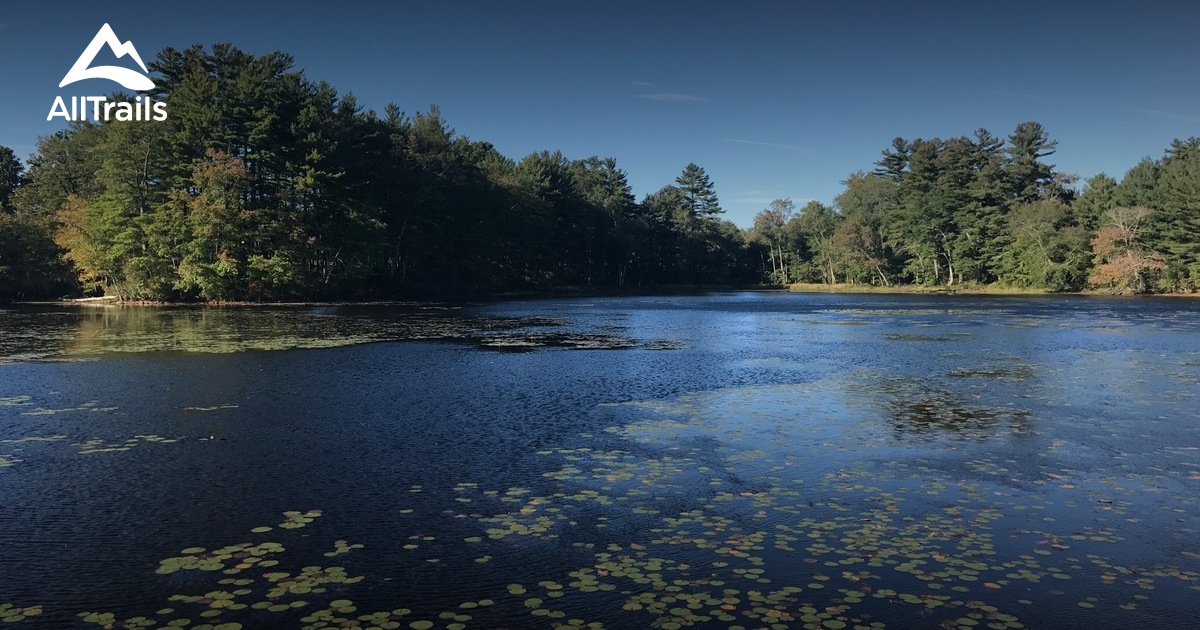 Die Besten Einfachen Routen in Tillinghast Pond Management Area AllTrails