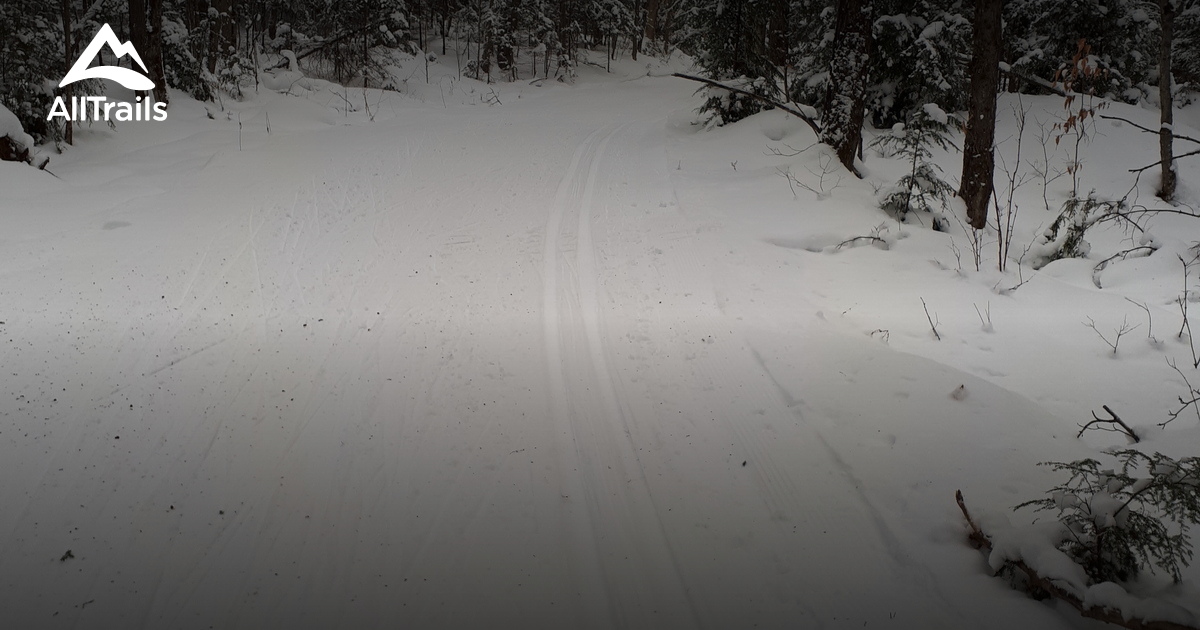 Best hikes and trails in Haliburton Forest and Wildlife Reserve | AllTrails