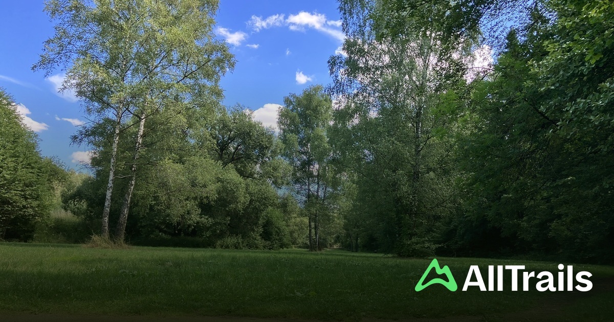 Die Besten Flusswege in Naturschutzgebiet - Parks Germany North Rhine Westphalia Naturschutzgebiet Urfttal Mit Seitentalern Nordlich Und Westlich Von Nettersheim 10185485 20240926225435000000 1200x630 3 41727422456 