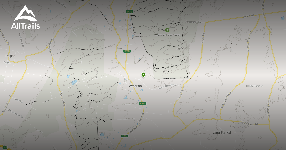 Best hikes and trails in Waterloo State Forest | AllTrails