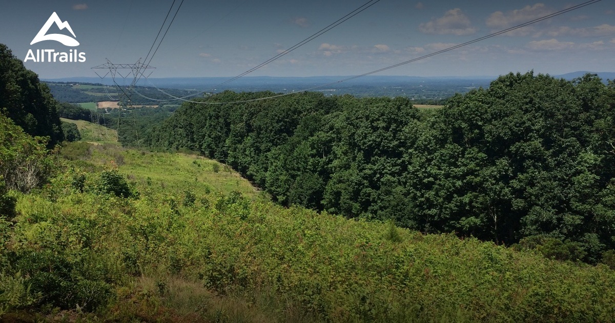 Best dog friendly trails in South - Parks Us Maryland South Mountain State Battlefield 10185982 20210621155746000000000 1200x630 3 41624291090