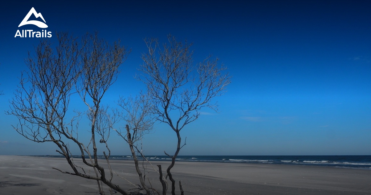 Best hikes and trails in North Brigantine Natural Area AllTrails