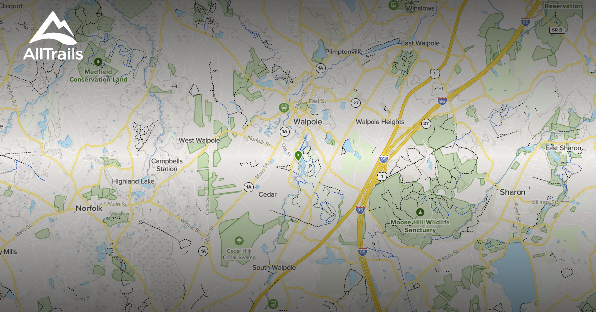 Best Hikes and Trails in Walpole Town Forest AllTrails