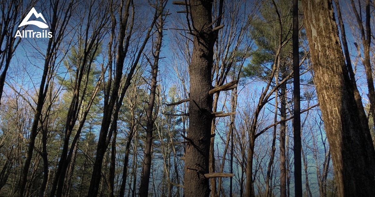 Best hikes and trails in Shepley Hill AllTrails