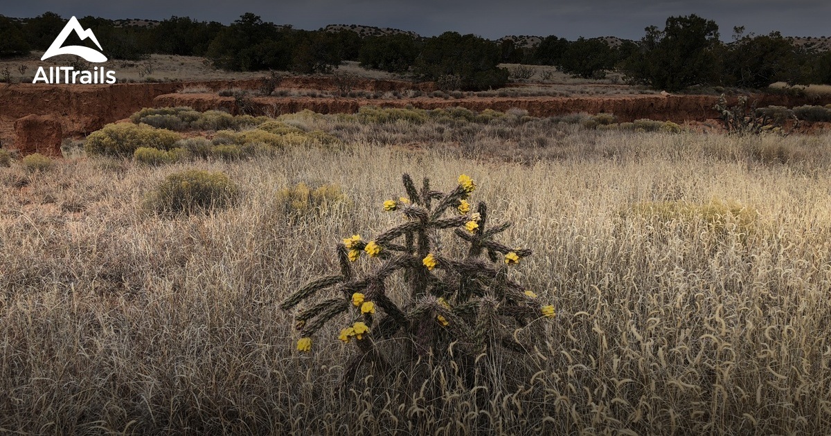 Galisteo Basin Preserve : les meilleures randonnées à cheval | AllTrails