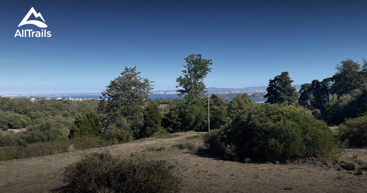 10 Best dogfriendly trails in Monsanto Forest Park AllTrails