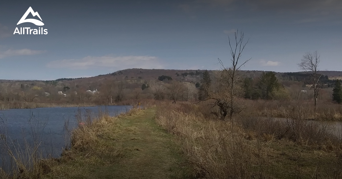 Best hikes and trails in Whitney Point Multi Use Area AllTrails