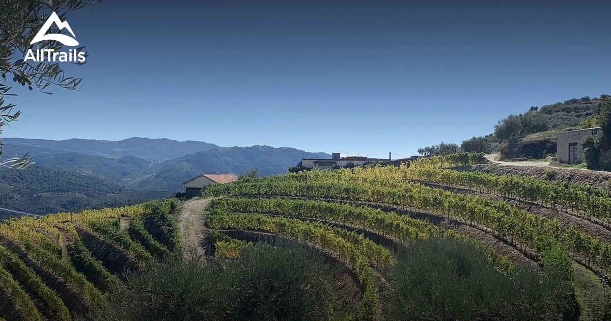 Best short trails in Tua Valley - Parks Portugal Porto 2 Parque Natural Regional Do Vale Do Tua 10191446 20220308213832000000 1200x630 3 41646786041 