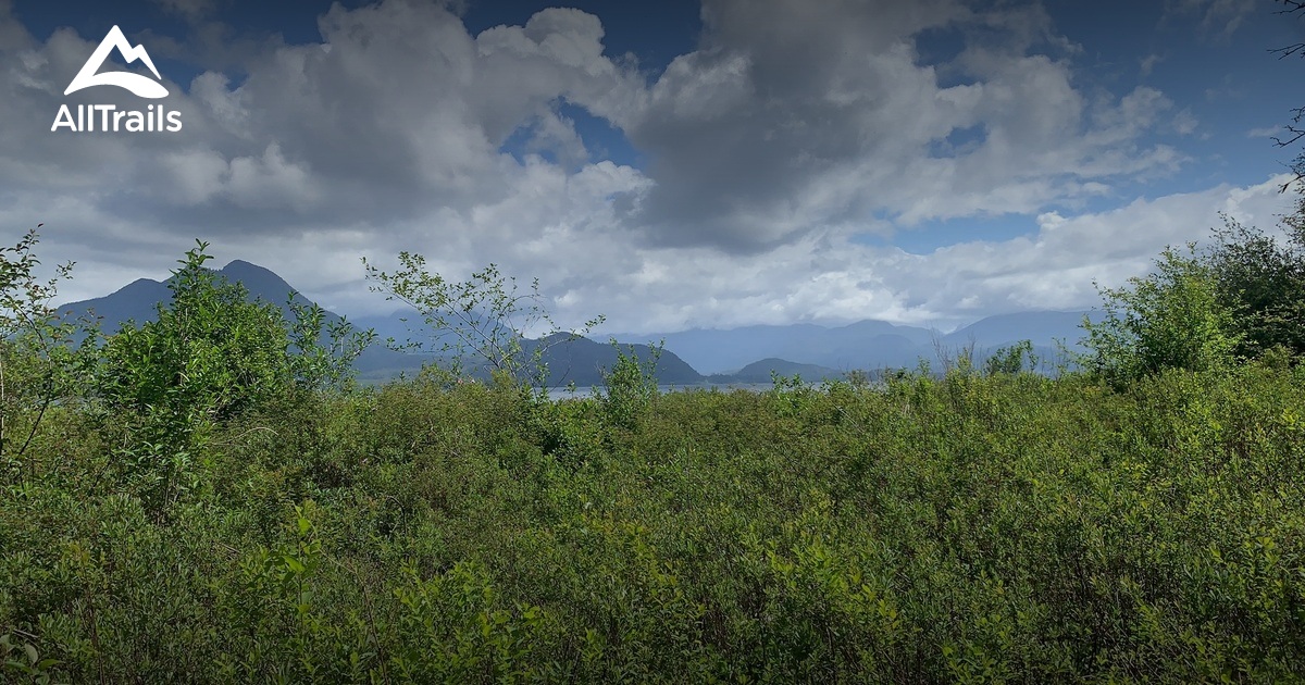 Best hikes and trails in Kennedy Lake Provincial Park AllTrails