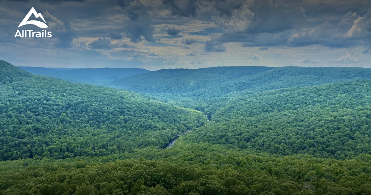 Best Hikes And Trails In Bridgestone Firestone Centennial Wilderness 