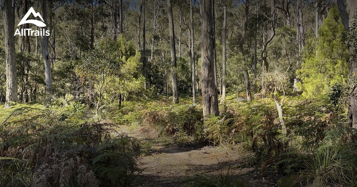 Best hikes and trails in Long Ridge Regional Reserve | AllTrails