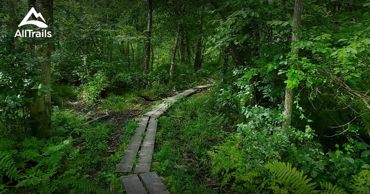 Best hikes and trails in Westport Historical Society Handy House