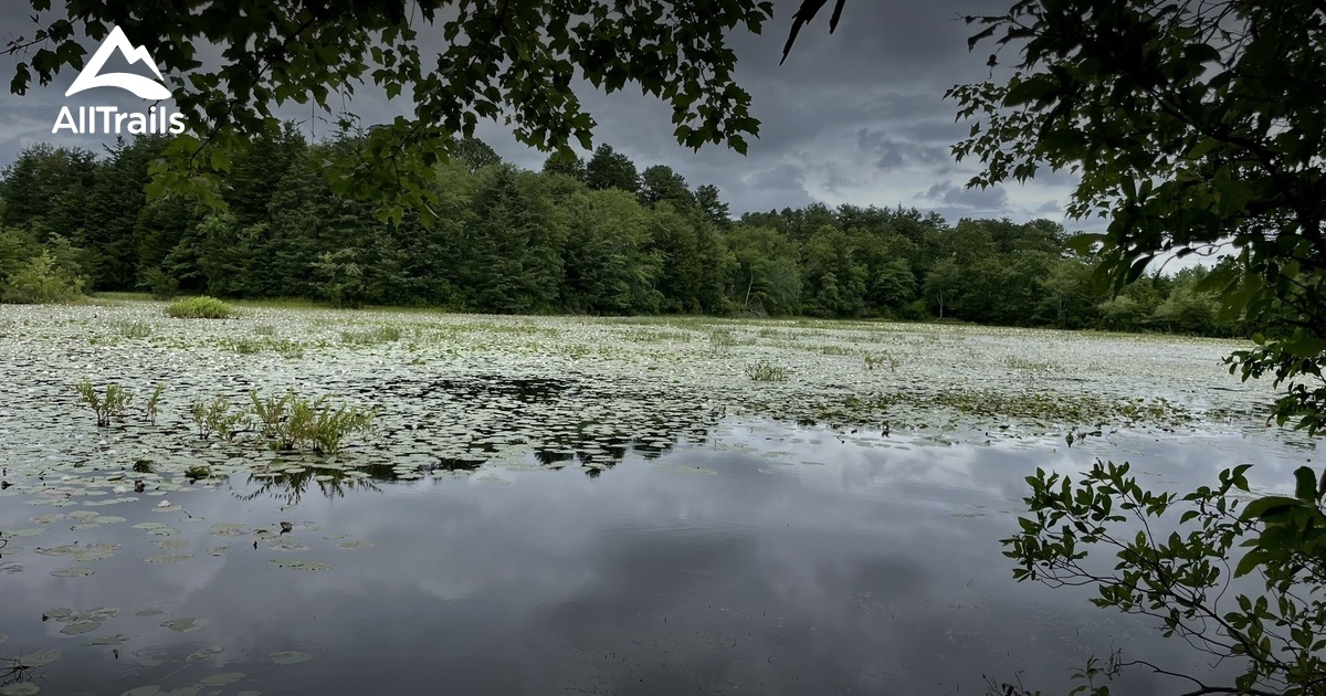 Best hikes and trails in Cranberry Bog Nature Preserve AllTrails